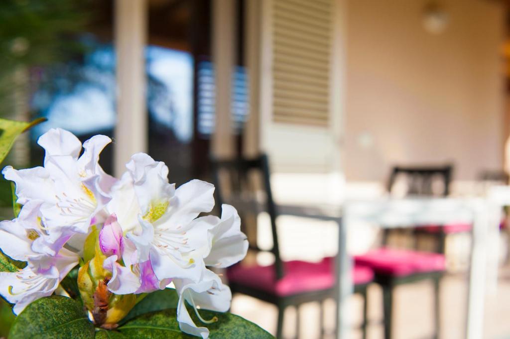 B&B Alle Tre Rose Montignoso Exterior photo